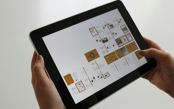 Portfolio-image